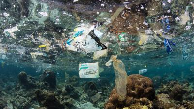 For Every Person on Earth, There Are 21,000 Pieces of Plastic in the Ocean