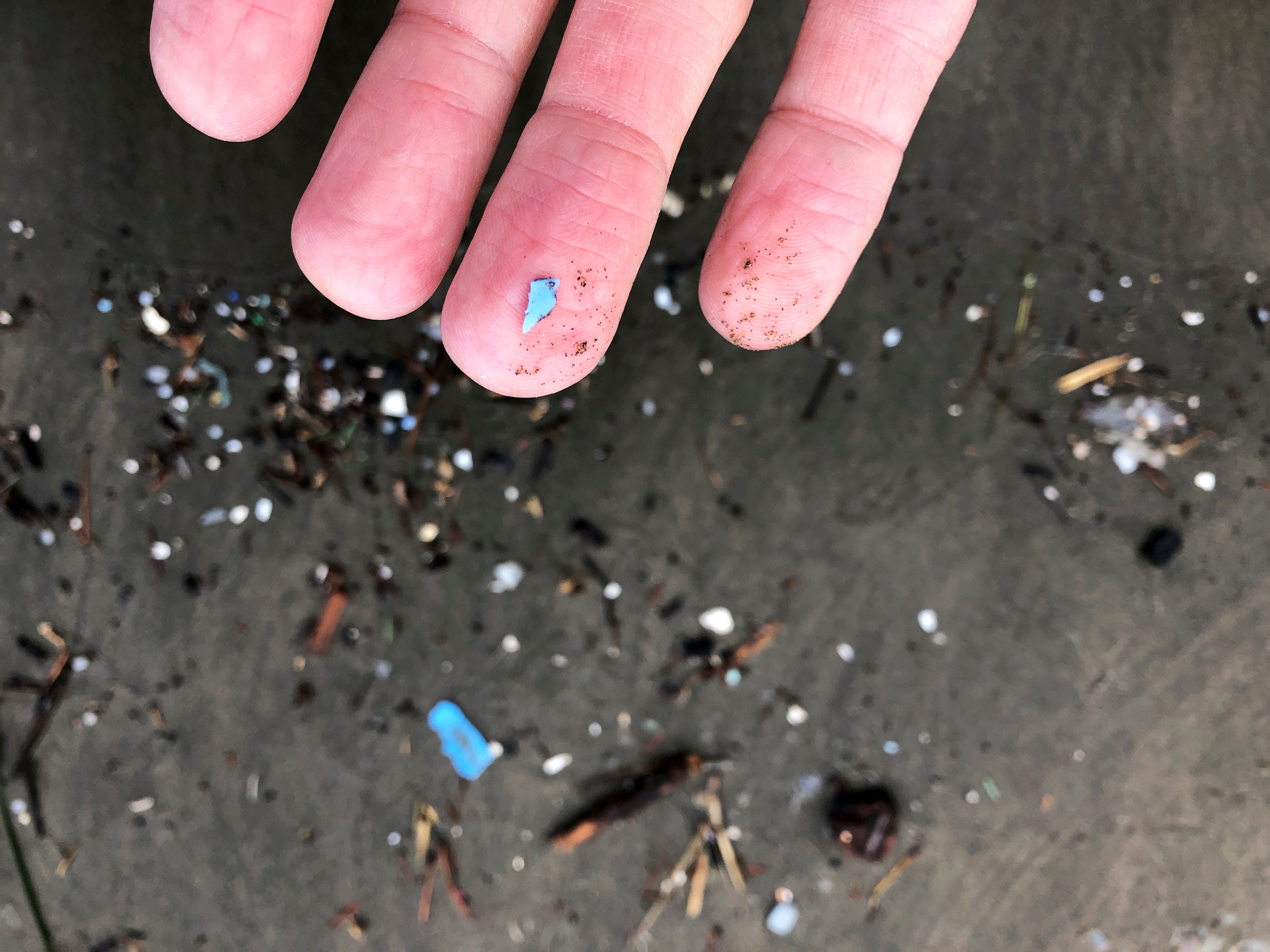 Microplastics collected on a beach in Oregon.  (Photo: Andrew Selsky, AP)