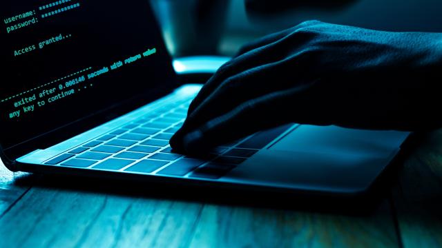 Two ‘ViLE’ Cybercrime Gang Members Charged With Hacking Federal Law Enforcement Data Portal