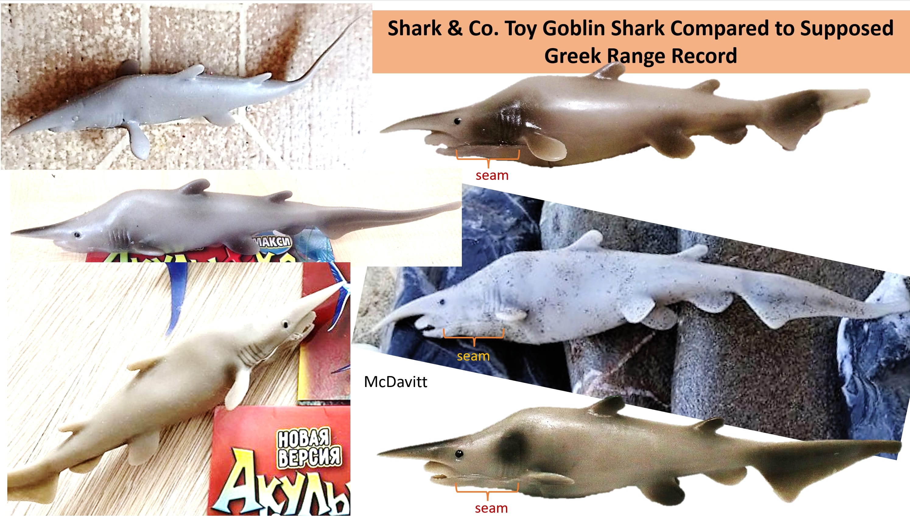 This photo collage shows the actual, published picture (middle right) alongside photos of the toy shark many believe is actually shown in the published photograph.  (Graphic: Matthew McDavitt)