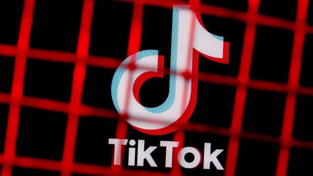 How Many Countries Have Banned TikTok?
