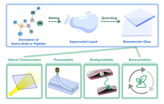 The properties of biomolecular glass.  (Image: XING Ruirui, Fair Use)