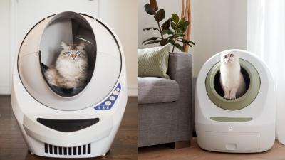 The Best Self-Cleaning Litter Boxes That Won’t Do a Shit Job