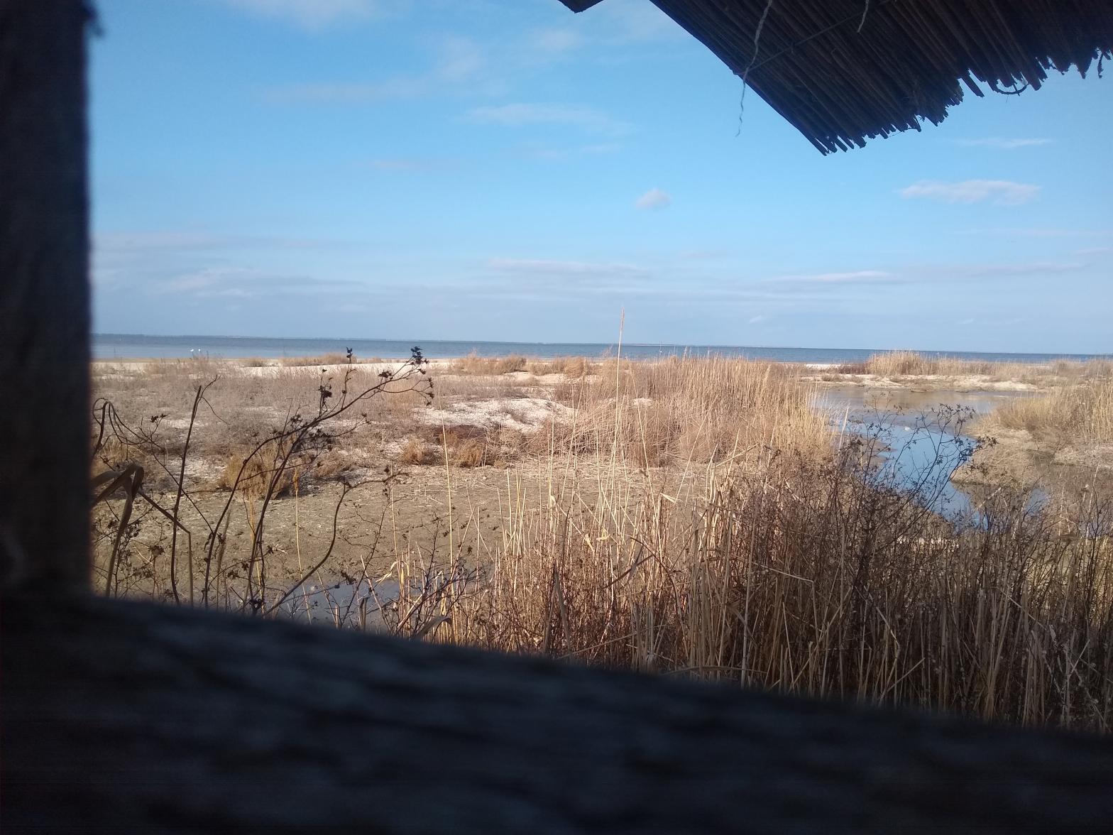 The view from a birdwatching hut on a beach near Prymorske, Ukraine. (Photo: Aliide Naylor)