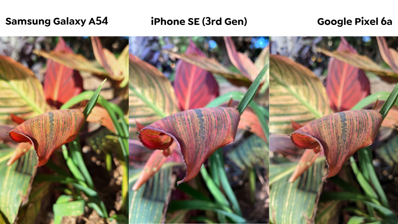 Galaxy A54 iPhone SE Pixel 6a(2)