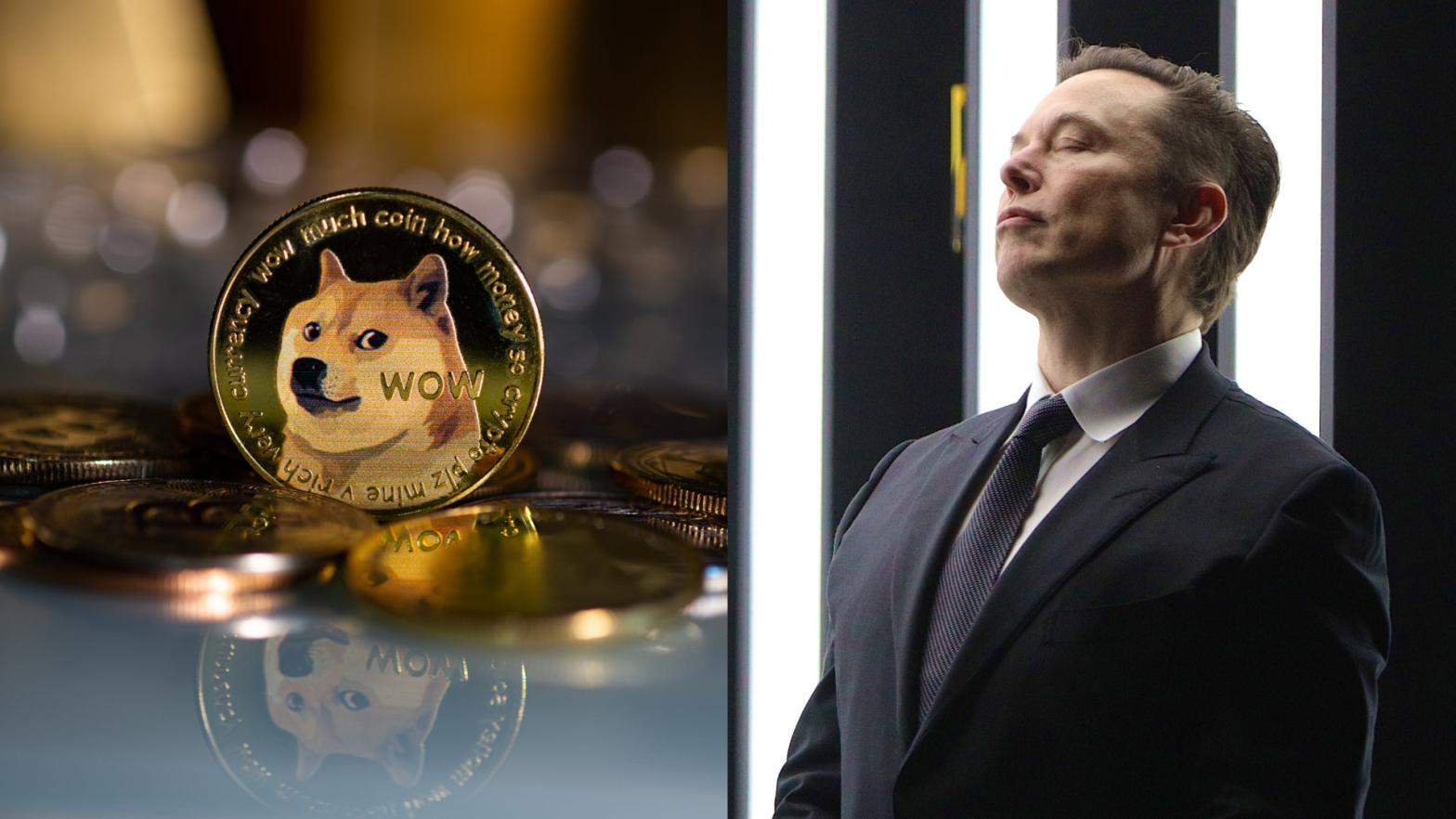 The plaintiffs argue that Musk and his companies intentionally drove up the value of Dogecoin 36,000% over two years before letting it tank. (Image: surassawadee (Shutterstock),Image: Christian Marquardt - Pool (Getty Images))