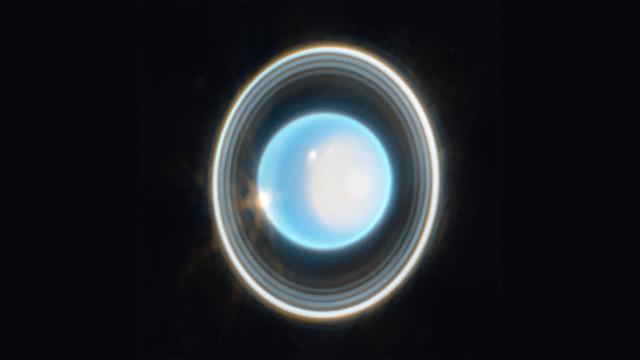 Look at These Beautiful Rings Rimming Uranus