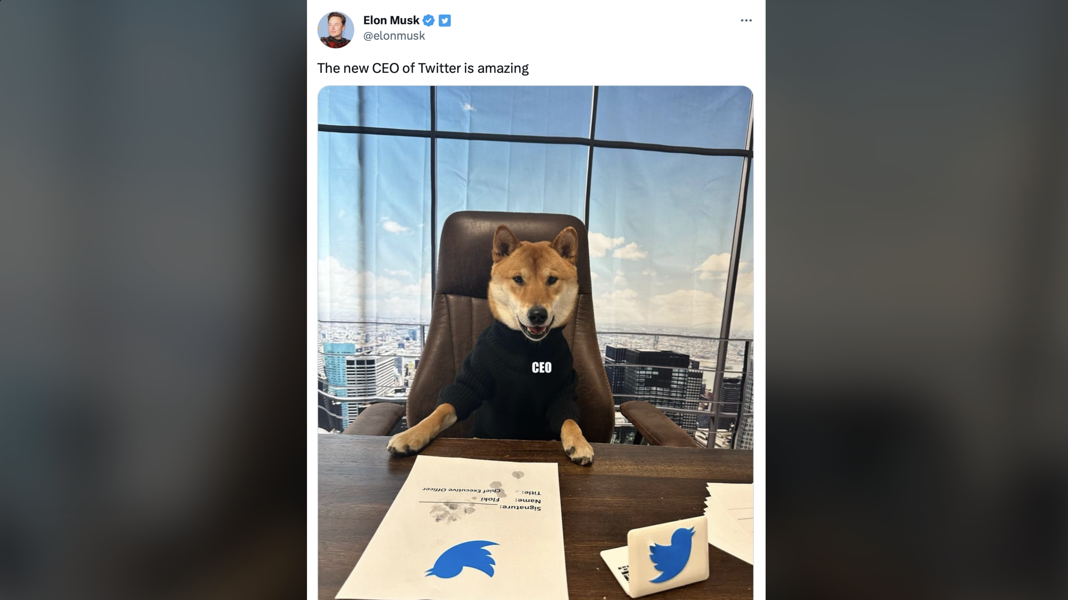 Elon Says He’s Sleeping on the Couch at Twitter and That His Dog is CEO in Surprise BBC Interview