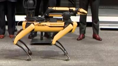 Crypto-Loving Cop Mayor Puts Robot Dogs Back on the NYPD
