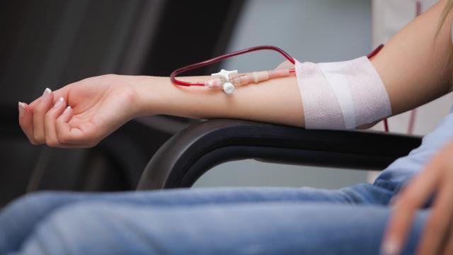 Donated Blood Is Safe No Matter a Person’s Sex, Large Trial Finds