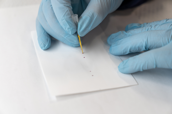 The team's test. The red dots indicate Salmonella contamination. (Image: Matthew Clarke, McMaster University)