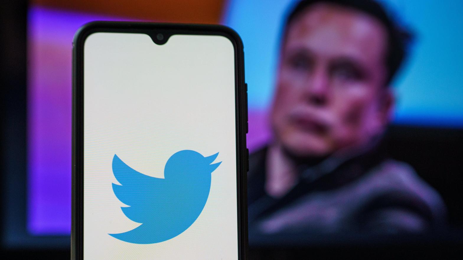 The move is on brand for this new Twitter, which Musk has been hellbent on making a crucible of free speech despite having no clue what free speech is. (Image: Rokas Tenys, Shutterstock)