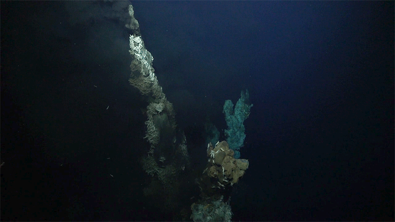 Another view of the chimney. (Gif: Gizmodo / Schmidt Ocean Institute)