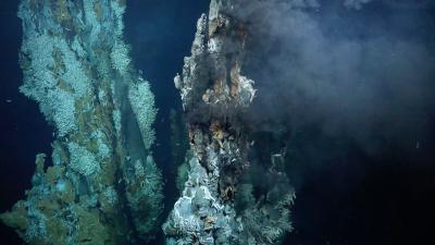 See Newly Discovered Deep Sea ‘Chimneys’ Teeming With Life