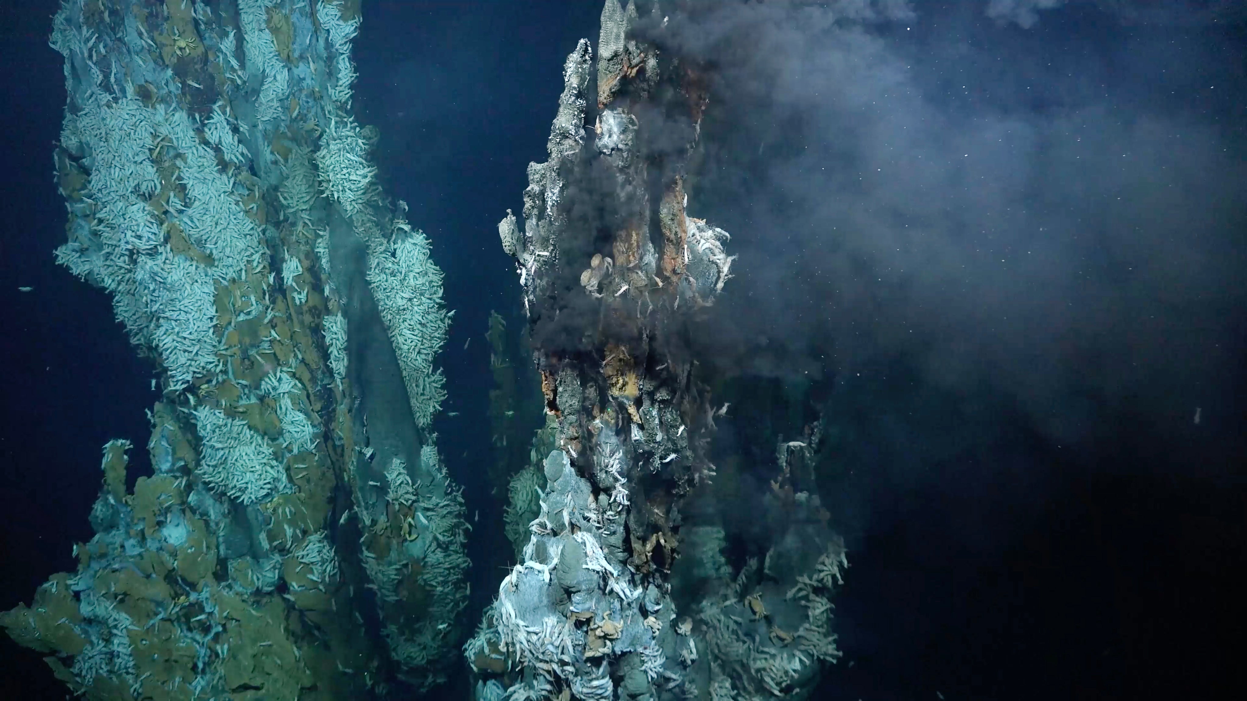 One of the new vents, discovered about 6,560 feet (2,000 meters) underwater on the Puy des Folles Seamount. The cloudy substance in the upper right is the hot, nutrient-rich water being expelled from the vent.  (Photo: ROV SuBastian / Schmidt Ocean Institute)
