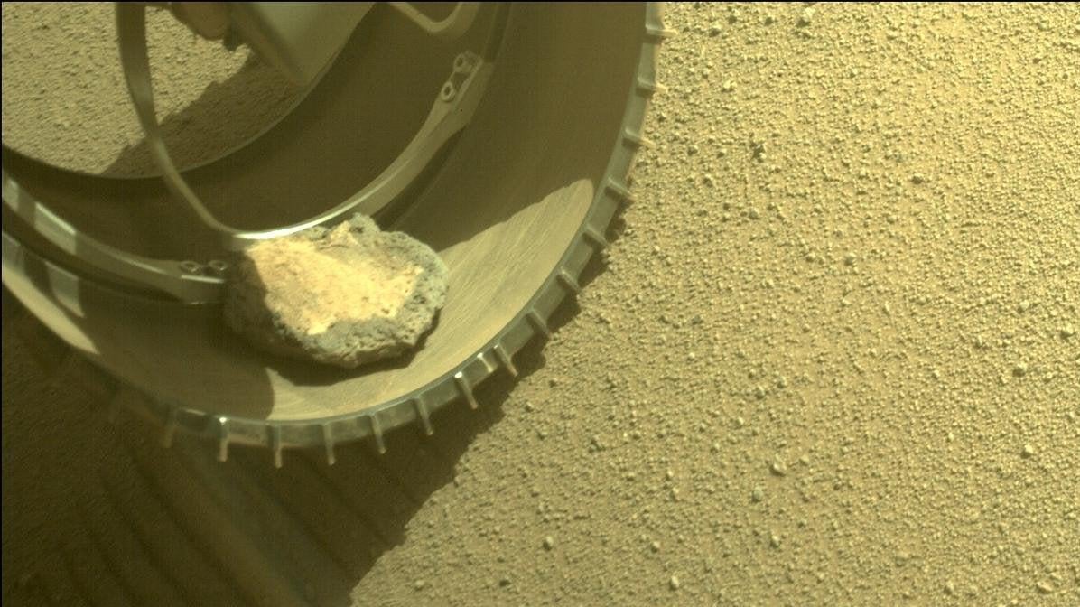 The rock was cradled inside one of Perseverance's six wheels.  (Image: NASA)
