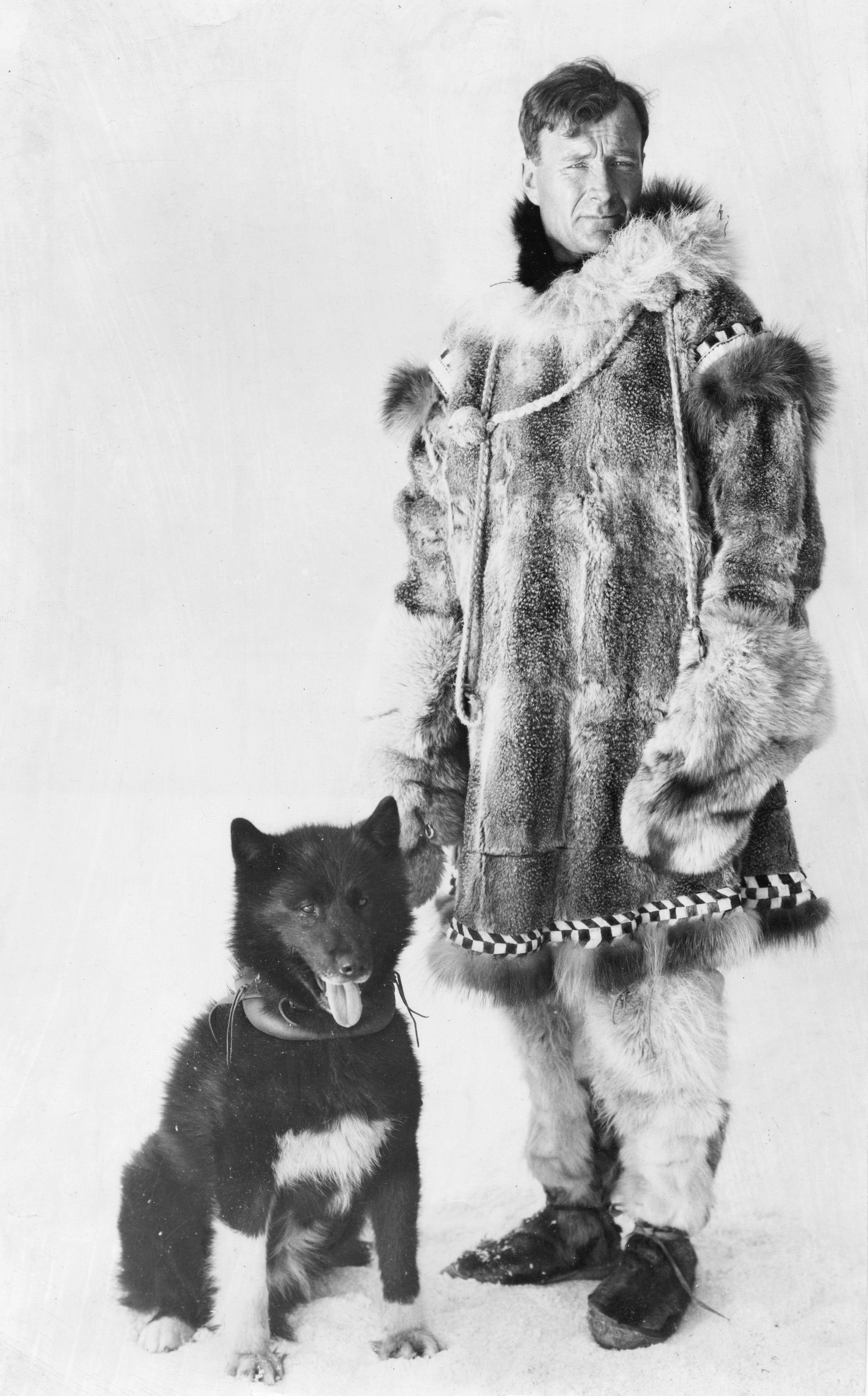 Scientists Sequence Genome of Famous Good Boy Balto the Sled Dog