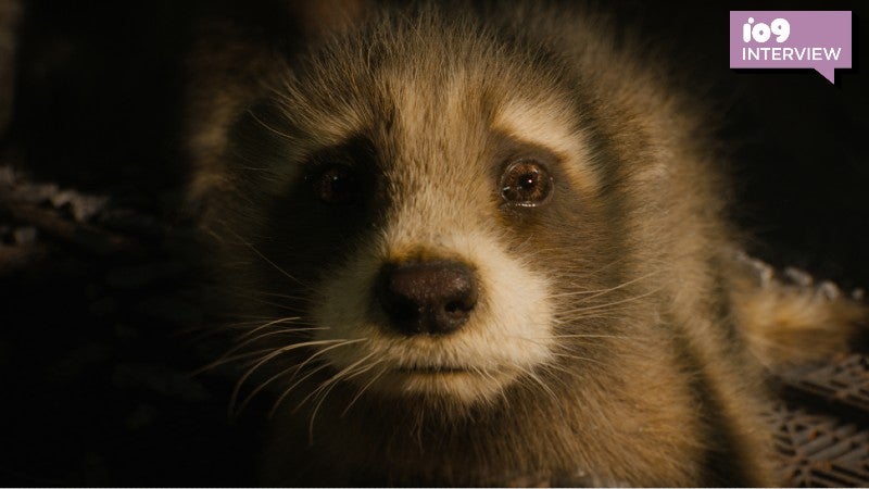 The origin of Rocket Raccoon was in place before the first Guardians.  (Image: Marvel Studios)