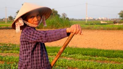 Vietnam Records Its Hottest-Ever Temperature