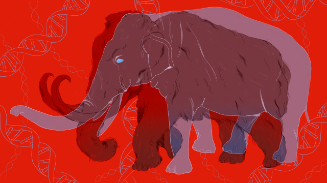 Why a Genome Can’t Bring Back an Extinct Animal