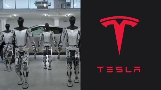Tesla Bots Are Walking Slowly Towards Us