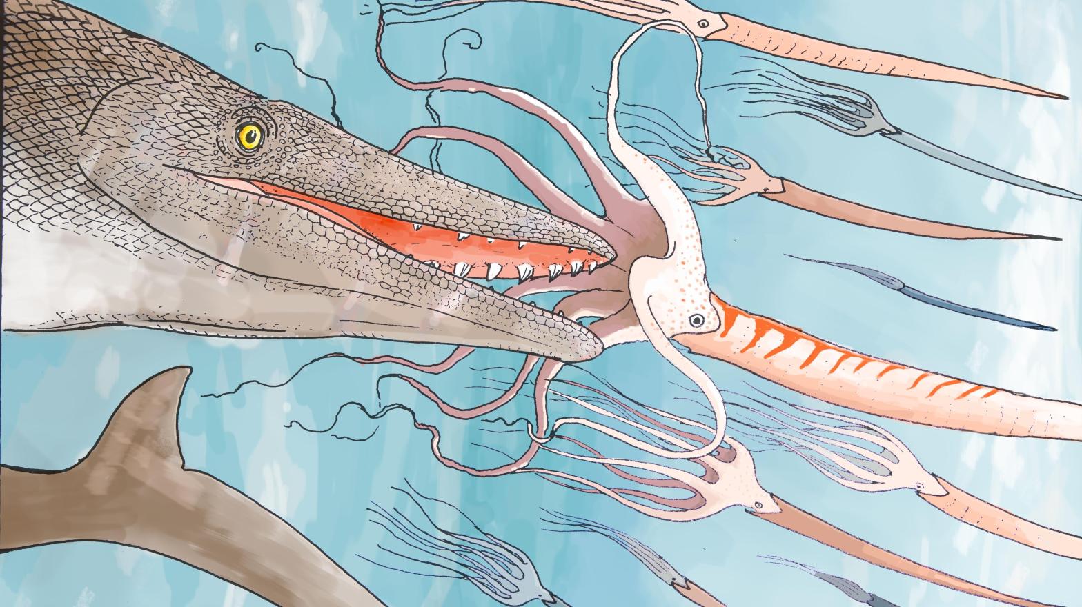 A rendering of what Stellendens mysteriosus might have looked like hunting squid. Although, it's unknown if squid would have been on the menu. The newly described species of mosasaur's screwdriver-like teeth offer few clues about the extinct animal's diet.  (Illustration: University of Bath)