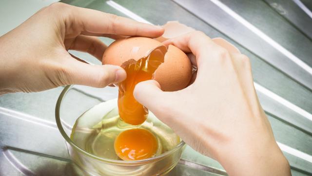 Allergic to Eggs? Not These Eggs