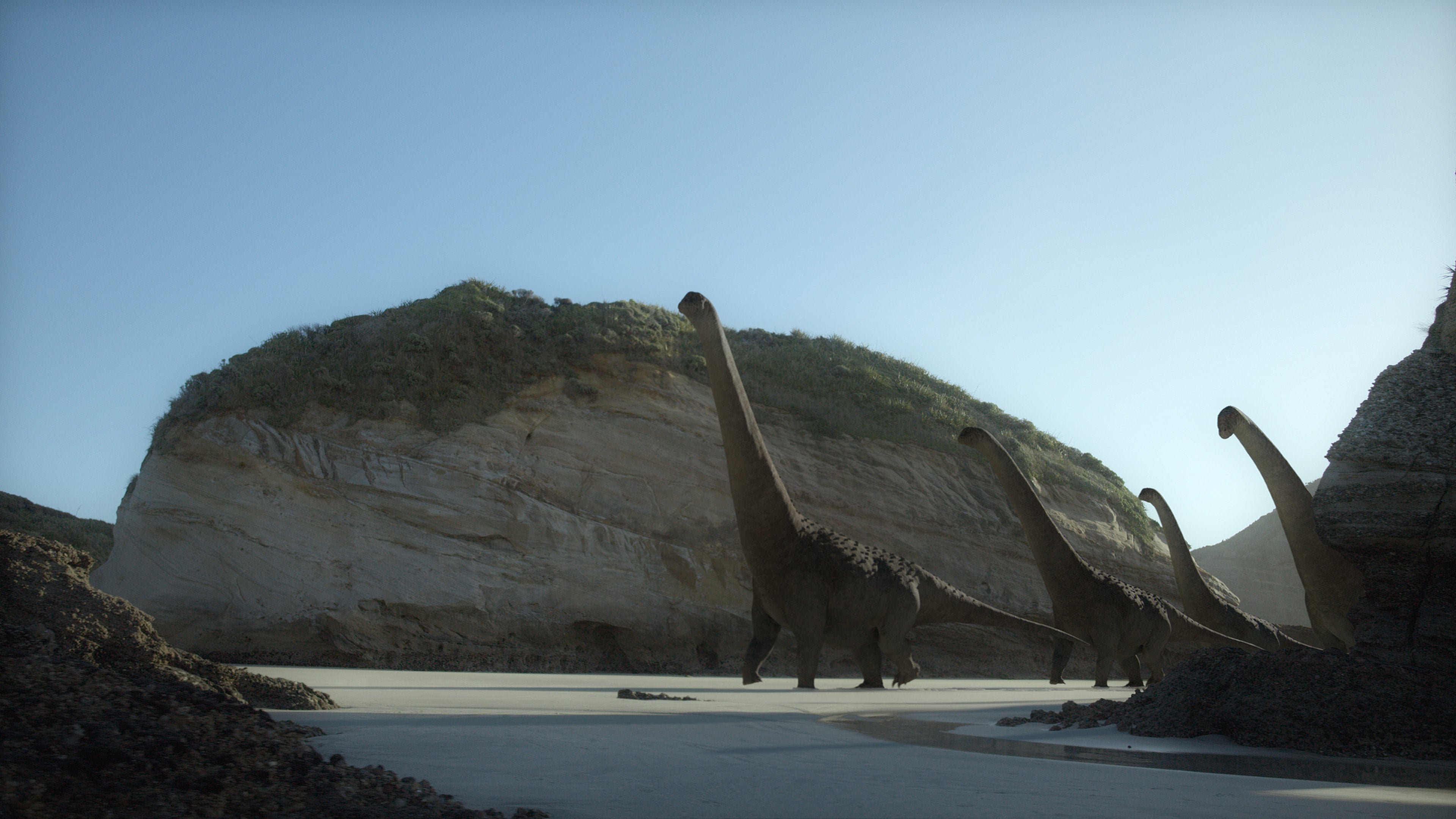 A herd of Alamosaurus in the new season. (Image: Apple TV+)