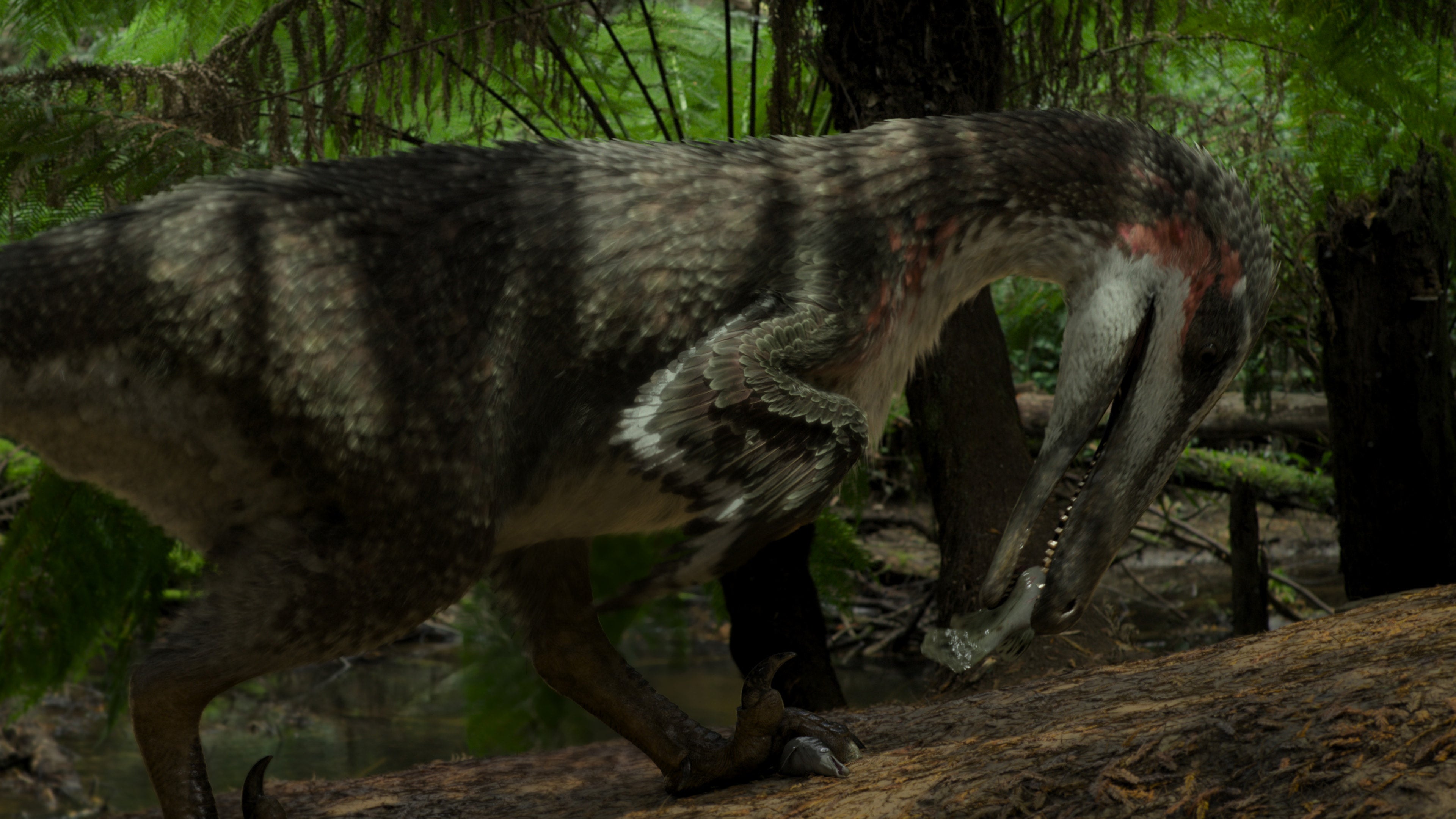 Austroraptor, a South American relative of Velociraptor. (Image: Apple TV+)
