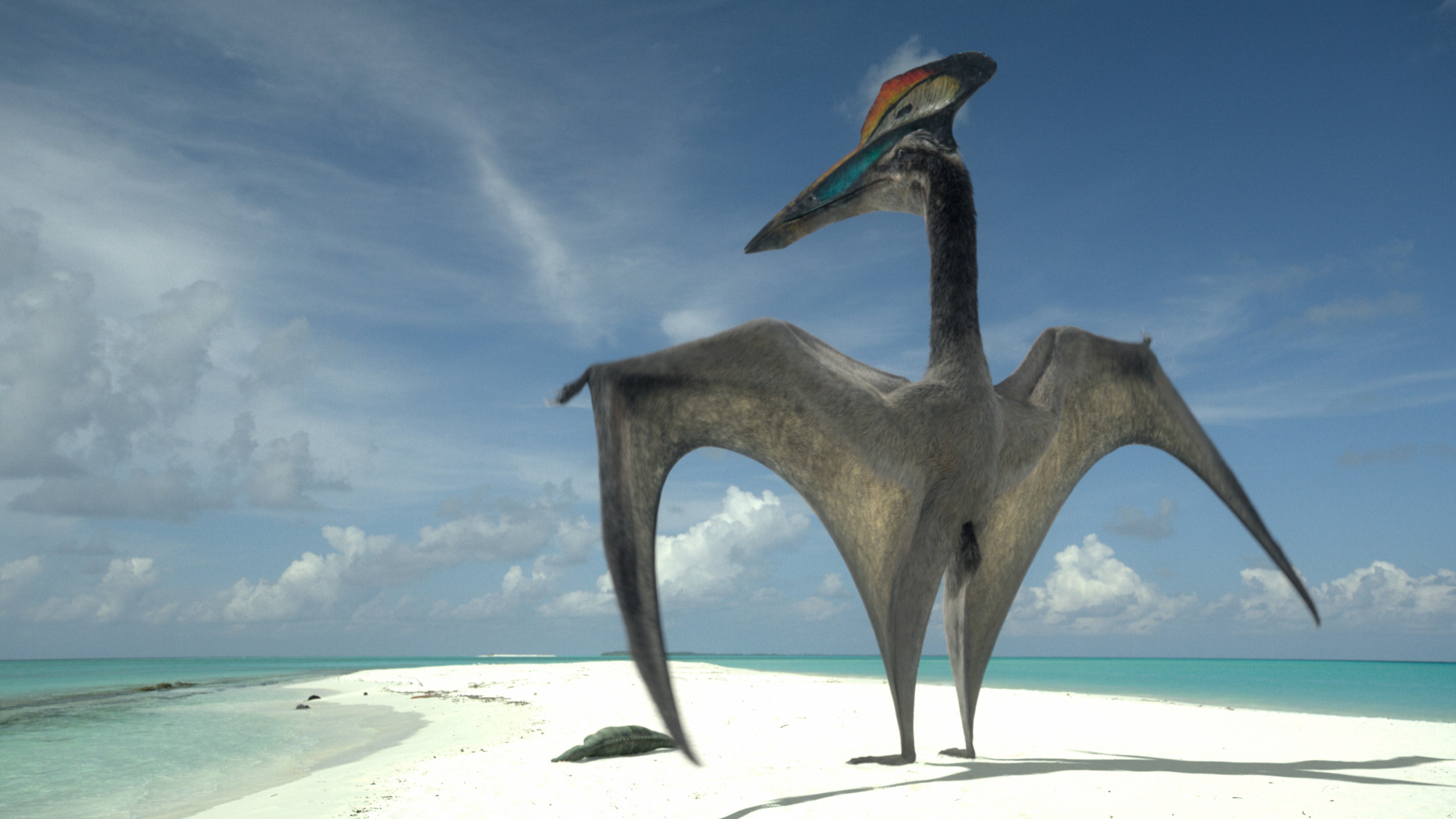A male Hatzegopteryx presenting with a recently caught meal (on sandbar.) (Image: Apple TV+)