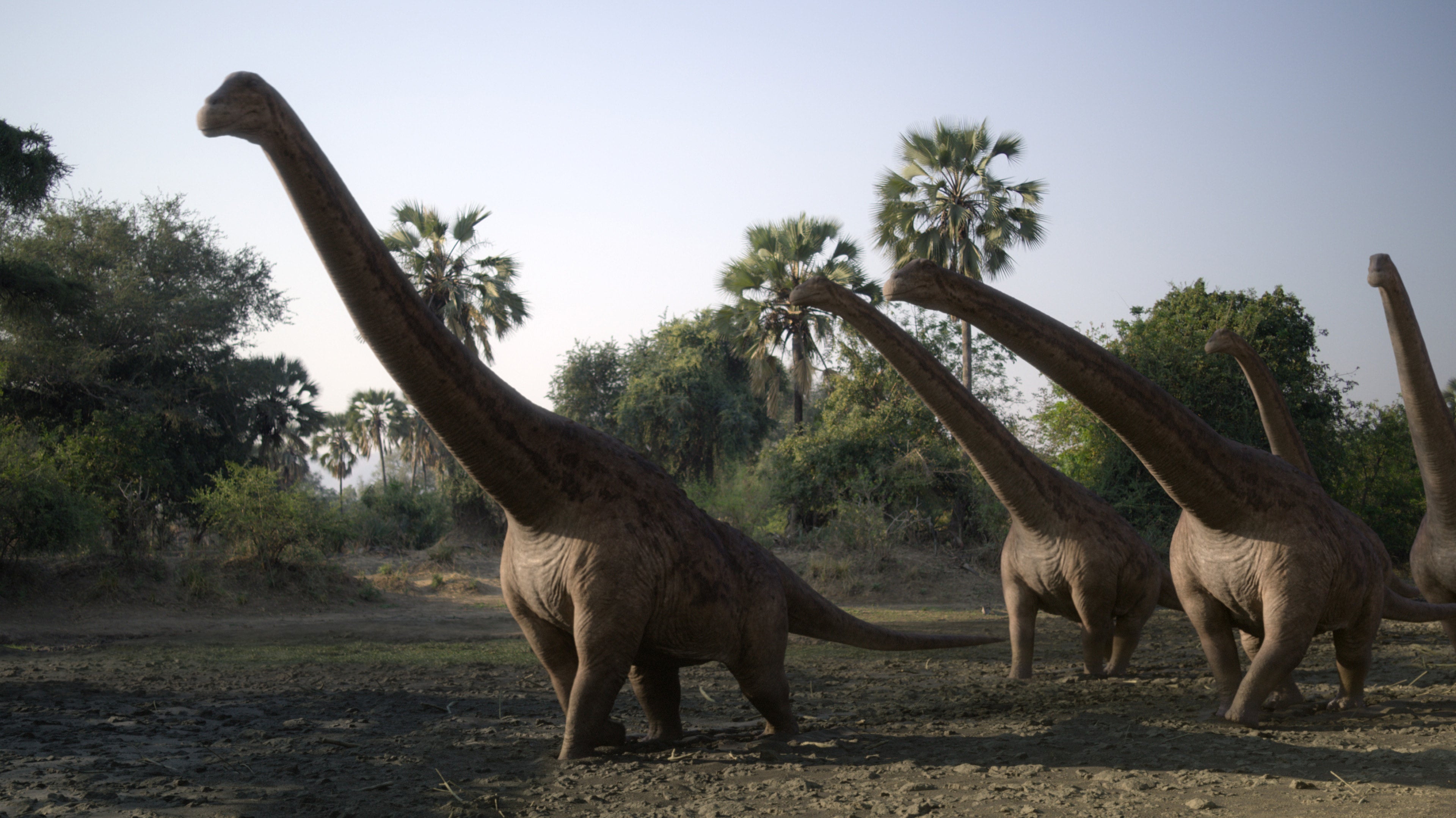 A herd of Rapetosaurus on Madagascar. (Photo: Apple TV+)