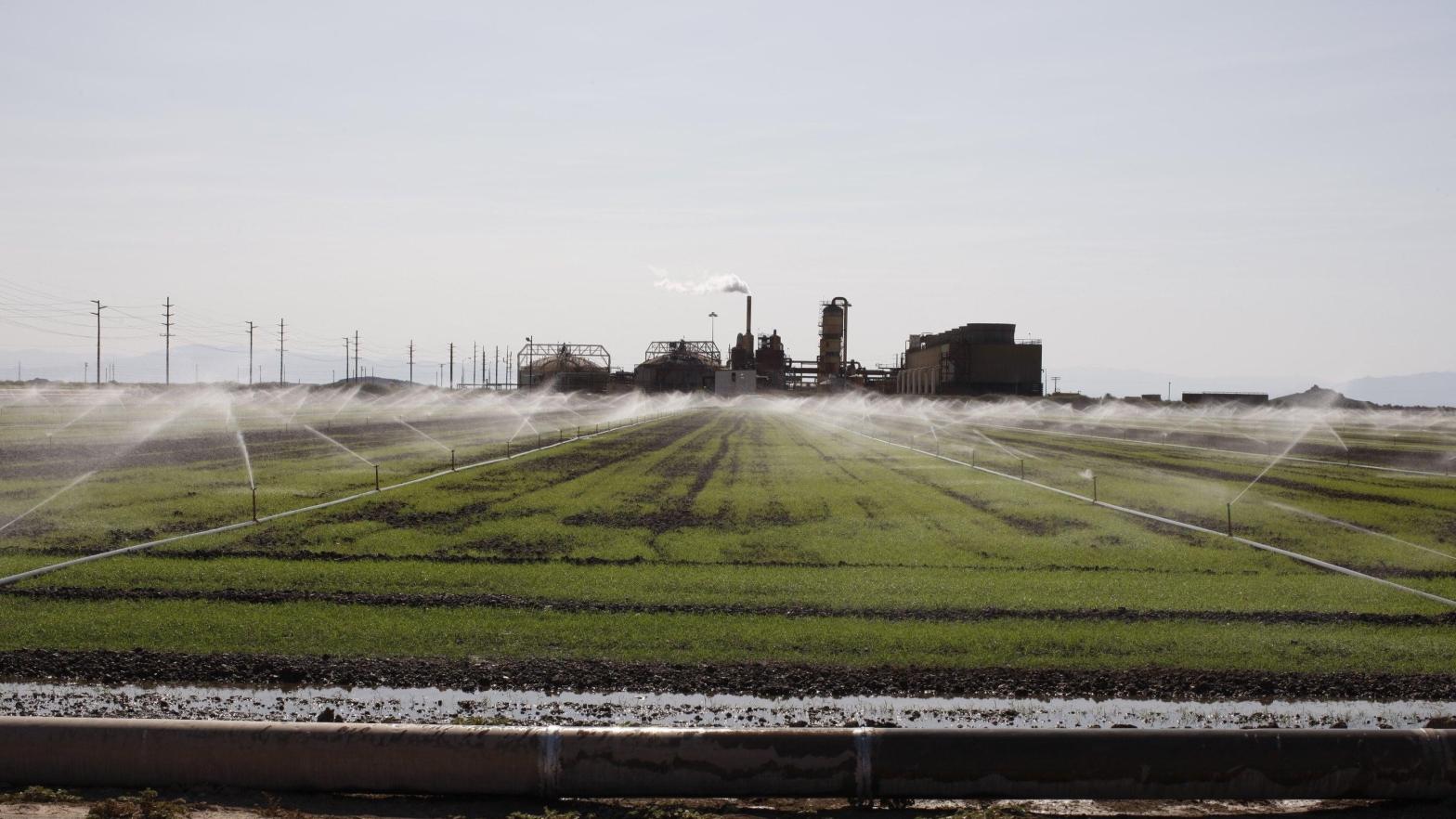 A sprinkler system sprays crops with water from an irrigation canal set in Imperial Valley, an agricultural area that traditionally uses water from the Colorado River. (Photo: Brent Stirton, Getty Images)