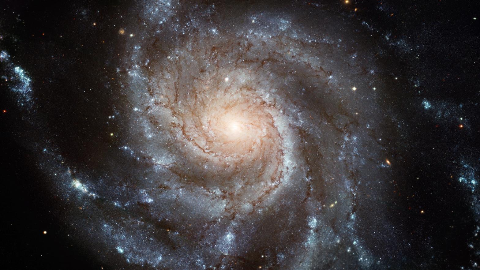 The spiraling arms of the Pinwheel galaxy. (Image: NASA, ESA, K. Kuntz (JHU), F. Bresolin (University of Hawaii), J. Trauger (Jet Propulsion Lab), J. Mould (NOAO), Y.-H. Chu (University of Illinois, Urbana) and STScI; CFHT Image: Canada-France-Hawaii Telescope/J.-C. Cuillandre/Coelum; NOAO Image: G. Jacoby, B. Bohannan, M. Hanna/NOAO/AURA/NSF)