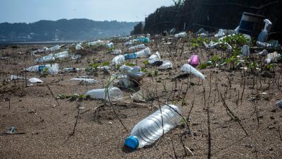 Yikes: Biodegradable Plastic Doesn’t Actually Break Down in the Ocean
