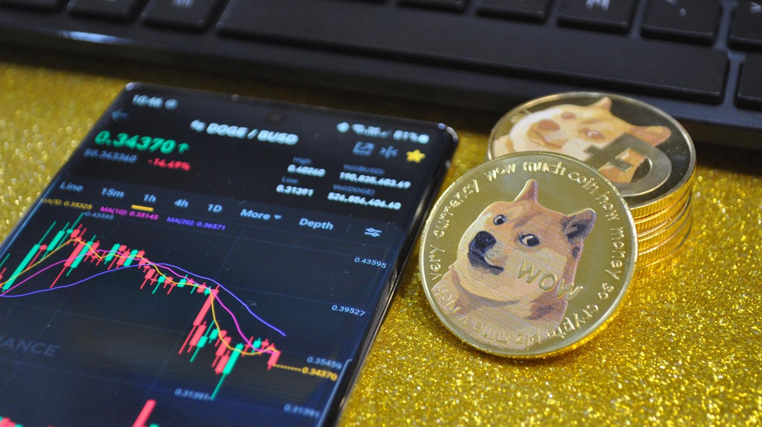 After Elon Musk called Dogecoin 'a hustle' on live TV, the price of DOGE plummted, and it has never truly recovered despite jumps in price thanks in part to Musk's antics. (Image: Pro Aerial Master, Shutterstock)