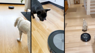This Treat-Dispensing Roomba Could End the War Between Dogs and Vacuums