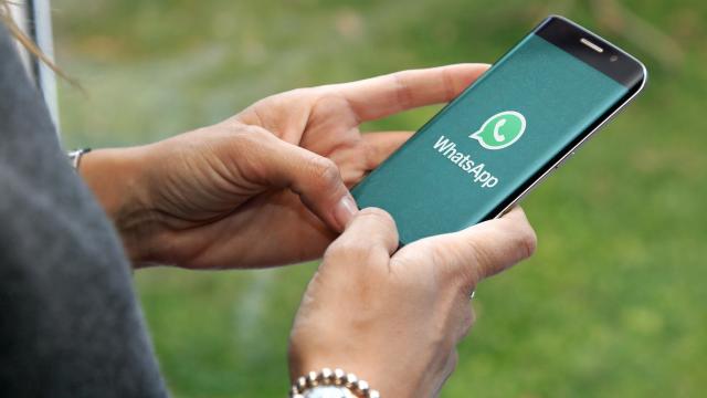 You Can Finally Send High Quality Photos on WhatsApp