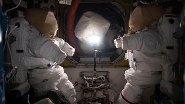 This Is Your Brain on Space: New Research Uncovers Perils of Long Duration Spaceflight