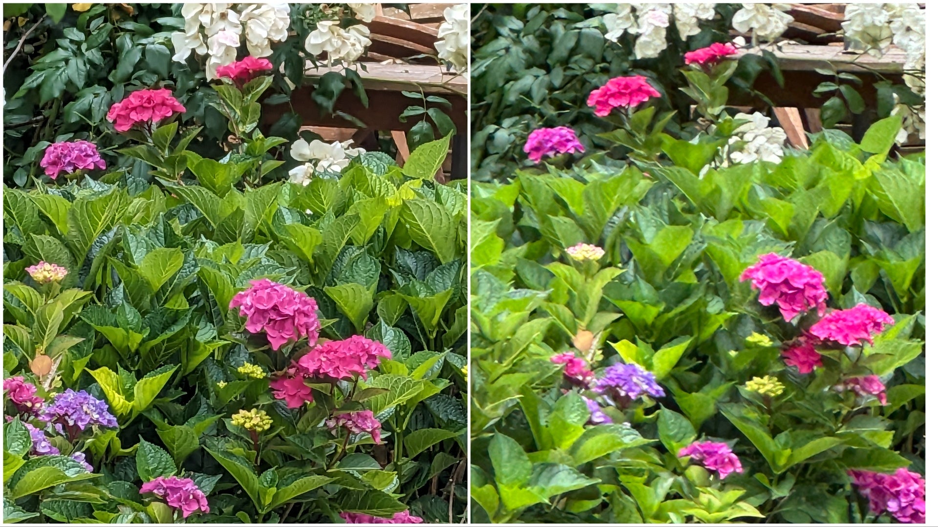 On the left, Google's Super Res Zoom feature does some pixel cleanup to make zoomed in images sharper. For comparison, is the same shot from the highest zoom on a iPhone 14 Pro's 48 MP camera. (Photo: Kyle Barr / Gizmodo)