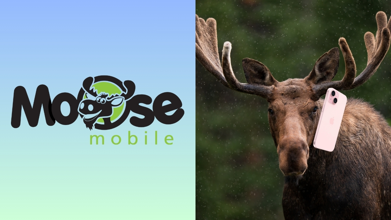 moose mobile plan deals