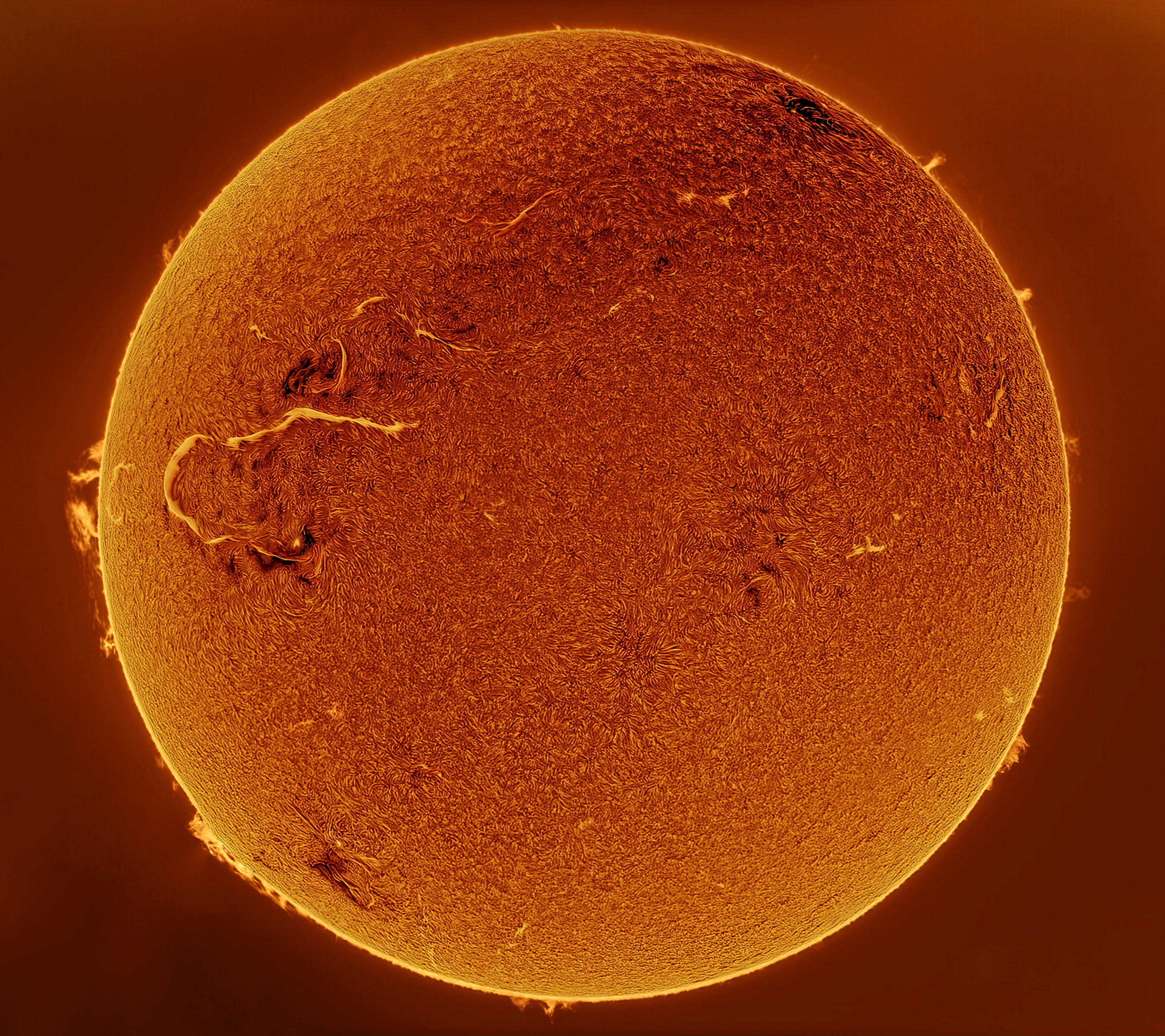 The Sun, with a large solar flare on its left side. (Image: Mehmet Ergün)