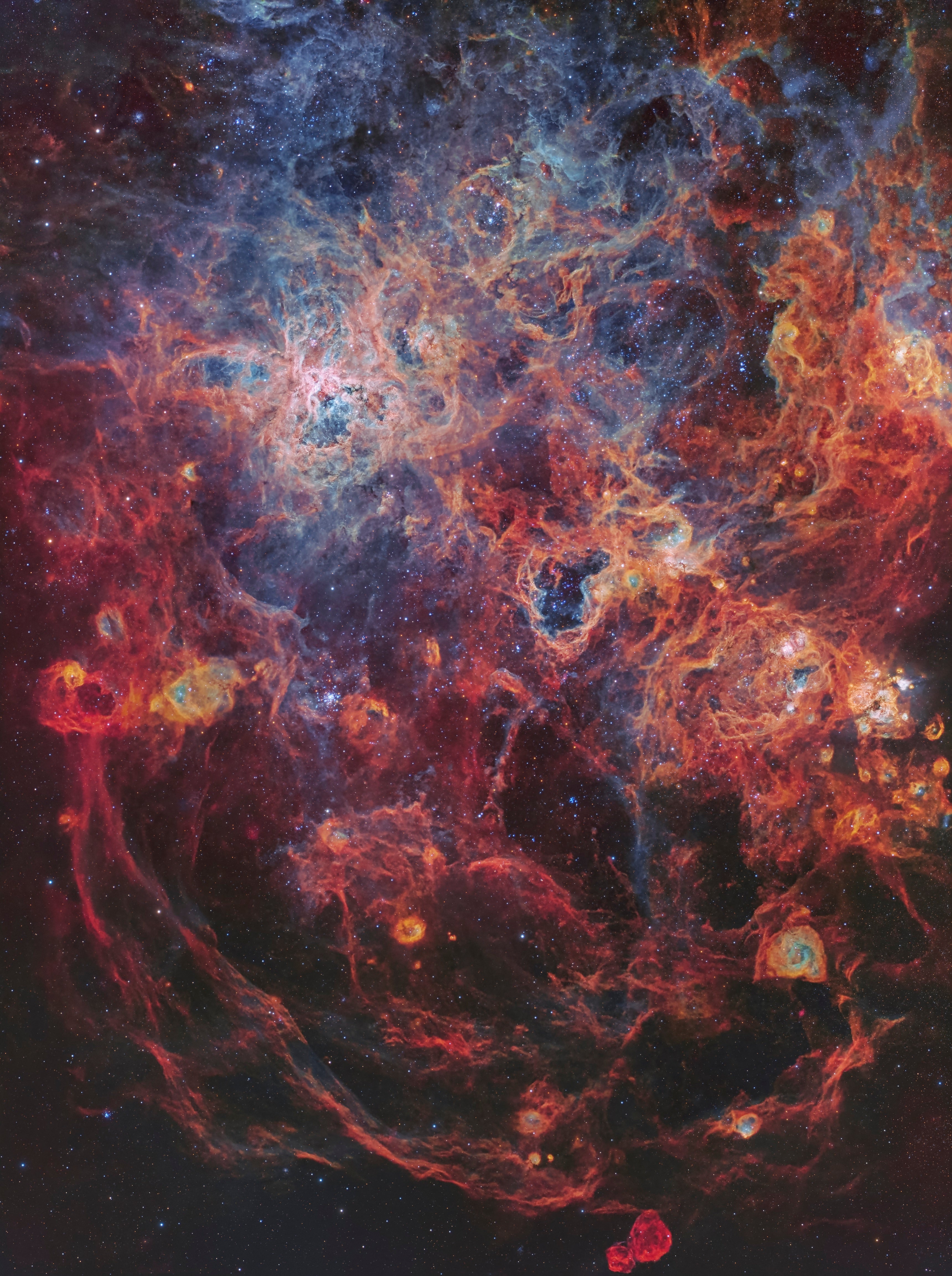 A section of the Tarantula Nebula (NGC 2070) (Image: Steeve Body)