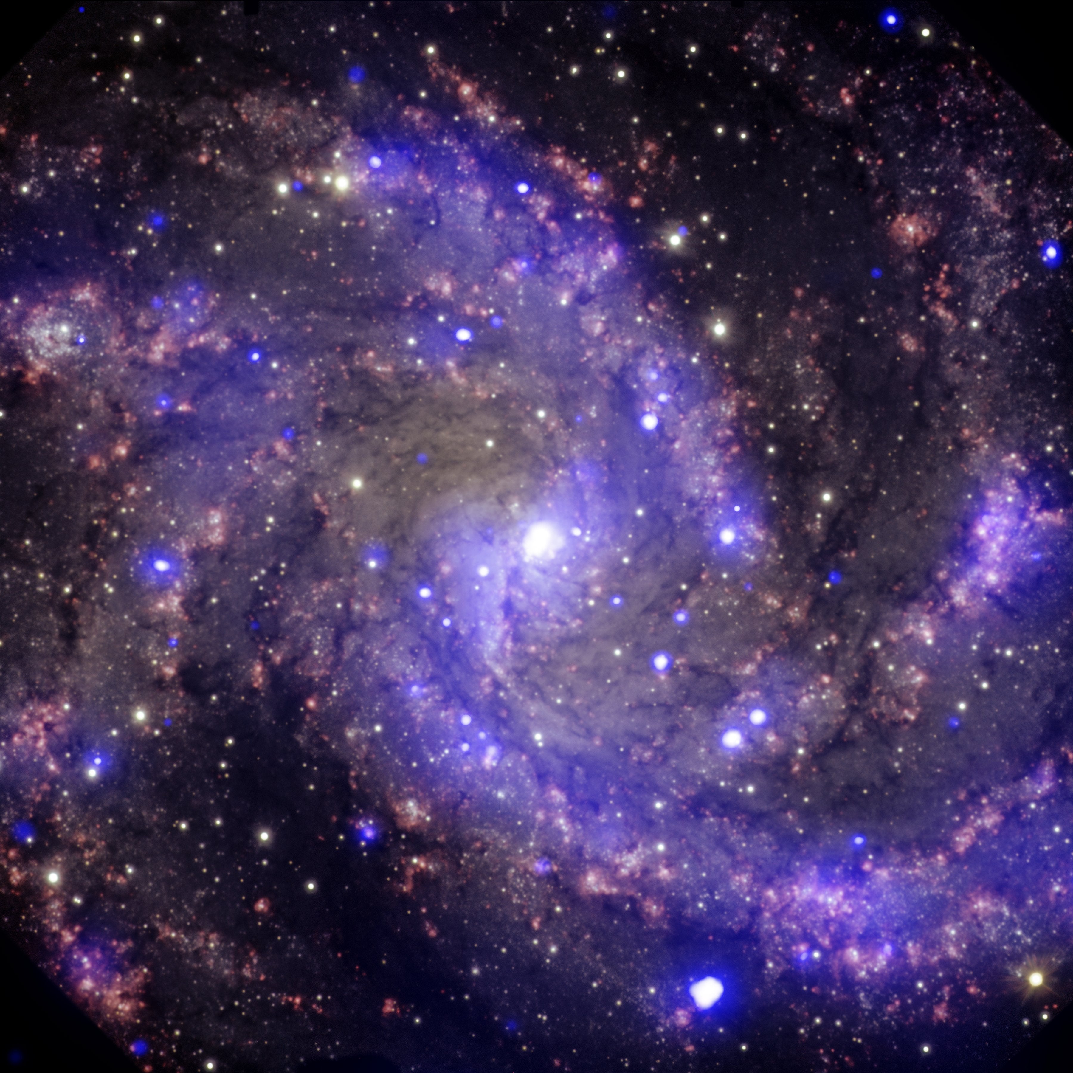 Webb Telescope Spots Potential Fuel for Early Universe in Supernovae Debris