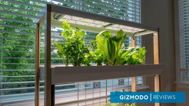 The Rise Hydroponic Garden Holds an Aspiring Farmer’s Hand With Its App-Assisted Green Thumb