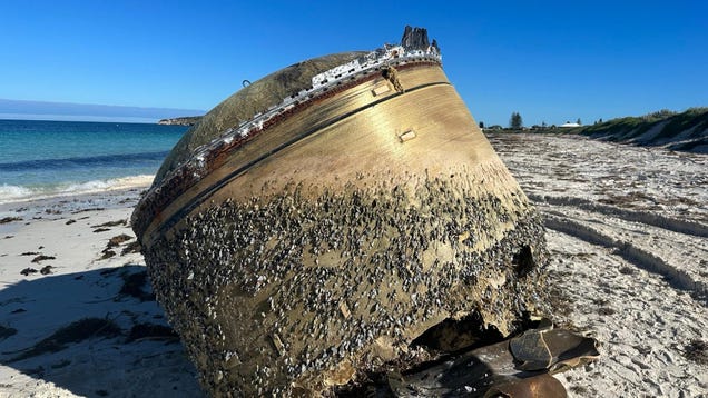 Bizarre Object Washes Ashore in WA, Sparking Investigation