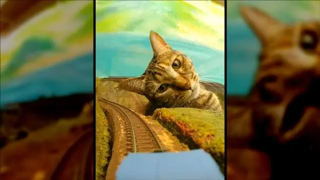 TikTok Account Makes IRL Cats Look Like Godzilla on Model Train Tracks