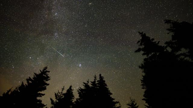How to Watch This Year’s Promising Perseid Meteor Shower
