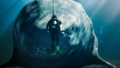 10 Shark and Sea Monster Movies to Watch Ahead of The Meg 2: The Trench