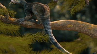 Unique Triassic Reptile Had Slenderman Claws and a Beak