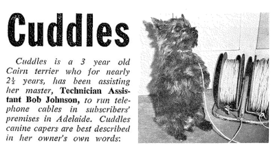 I Really Need to Tell You About Cuddles, the Telephone Cable-Installing Dog